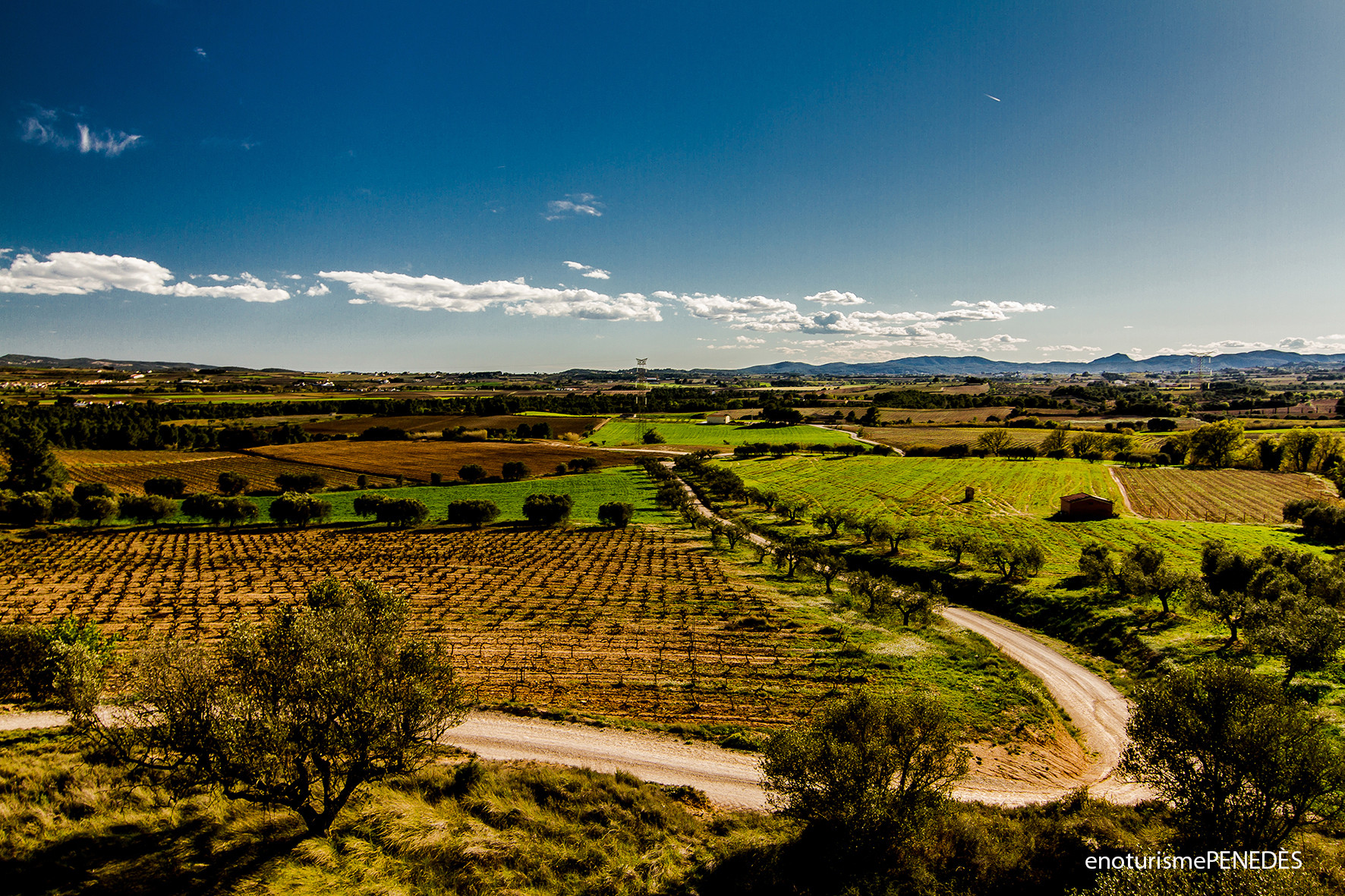 Miravinya la cadira