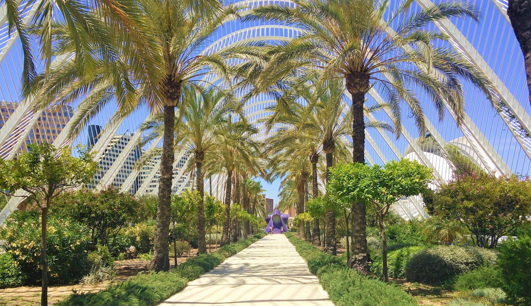 Valencia, elegida Capital Verde Europea 2024