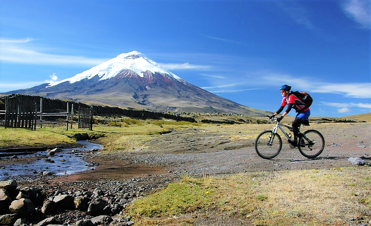 Bicicleta de ruta quito cheap