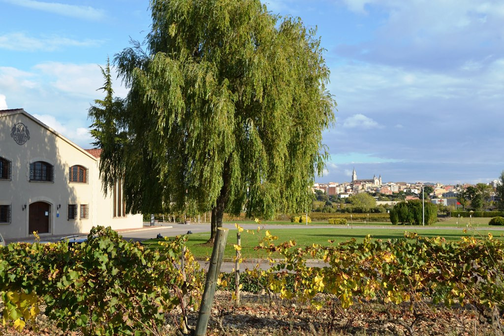 Ruta de vino Penedes   Vilafranca de Penedes