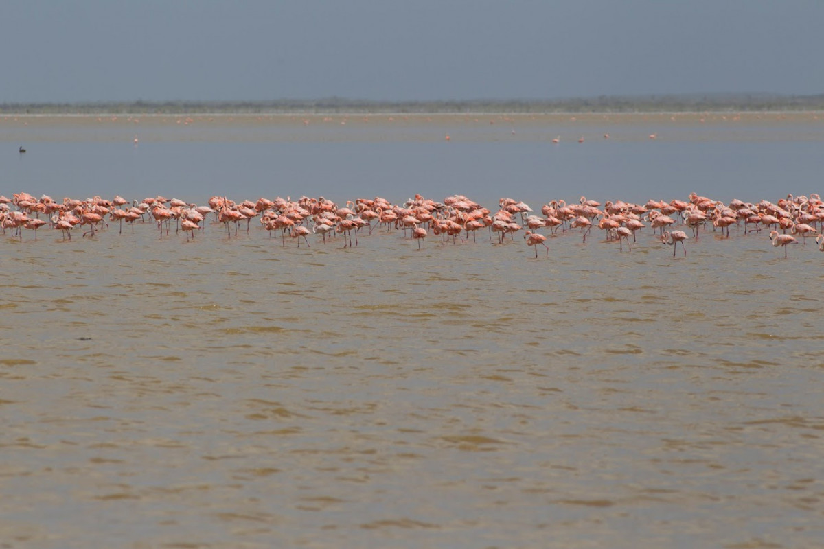 INAG National Park 073