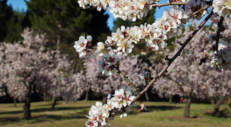 Quinta Molinos FB 012