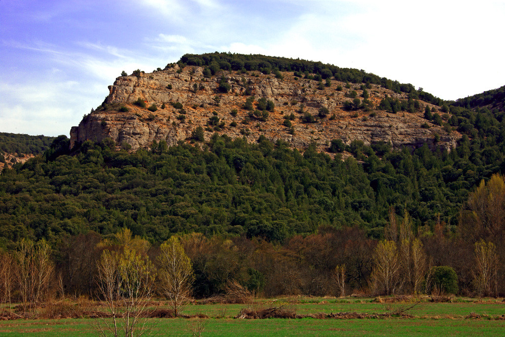 11 Sabinares de Arlanza