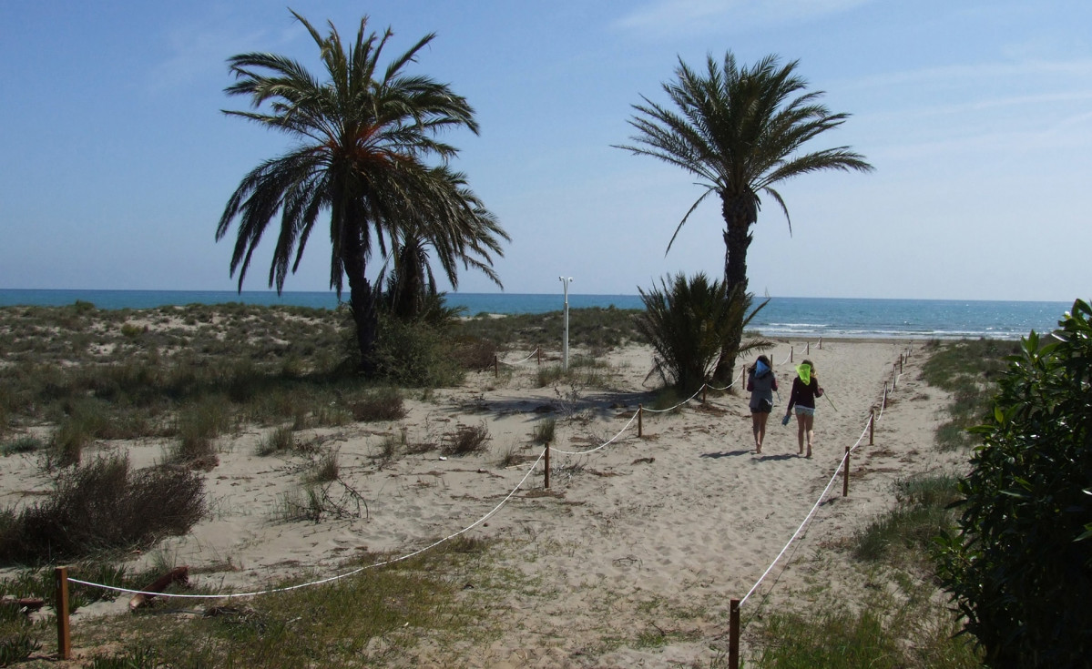 Castellou0301n Playa El Pinar min