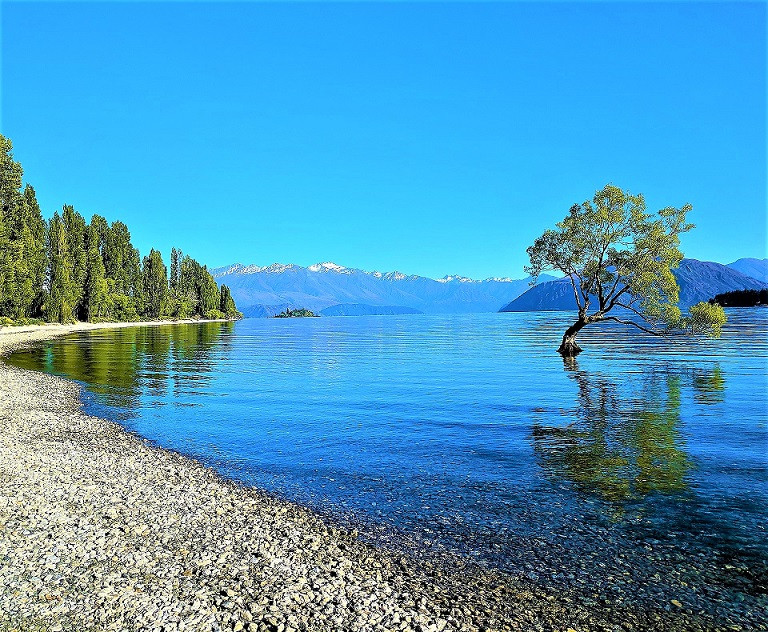 WANAKA 7