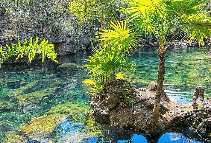 CENOTE 8