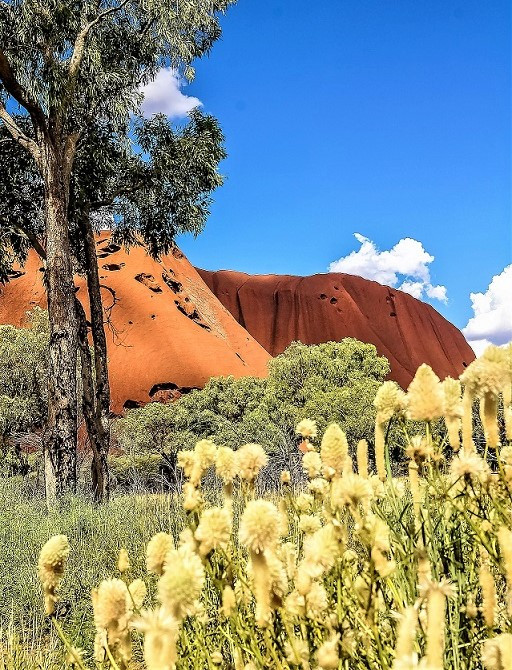 ULURU 1