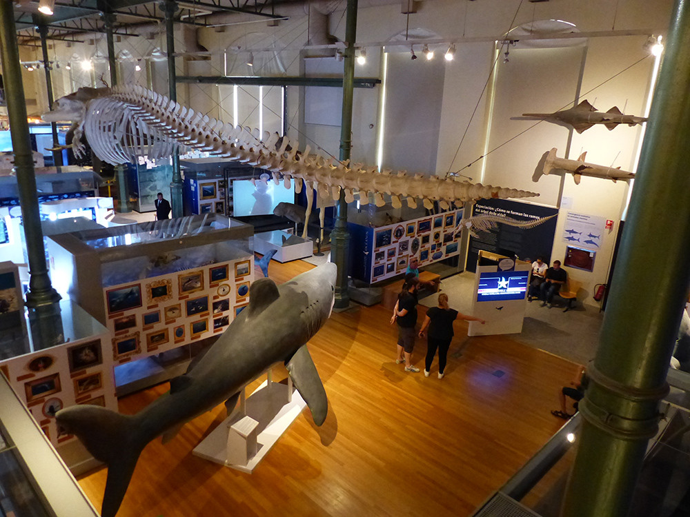 Interior del Museo Nacional de Ciencias Naturales de Madrid, Espau00f1a, 2017 03