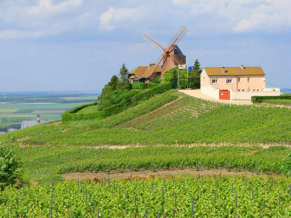 CHAMPAGNE Verzenay moulin