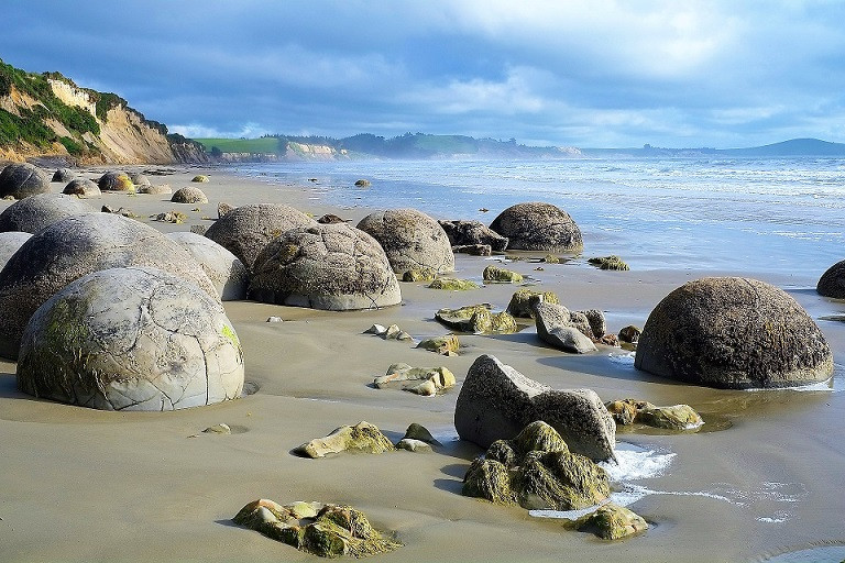 MOERAKI 7
