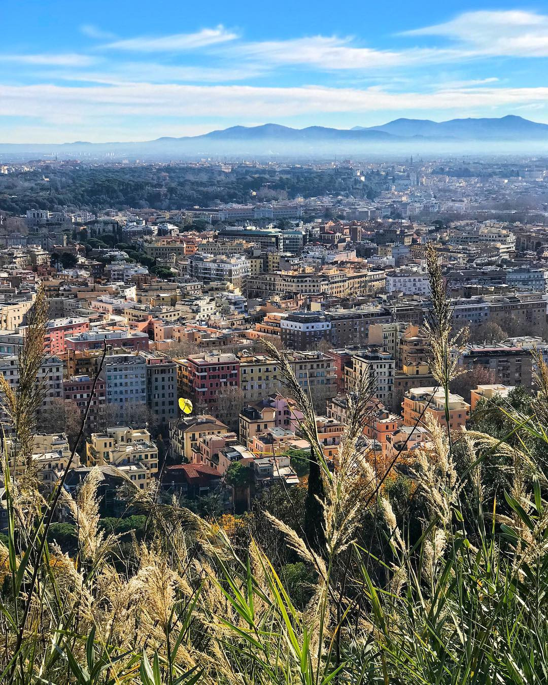 Vialetto degli innamorati Roma credit andrea dalfonso