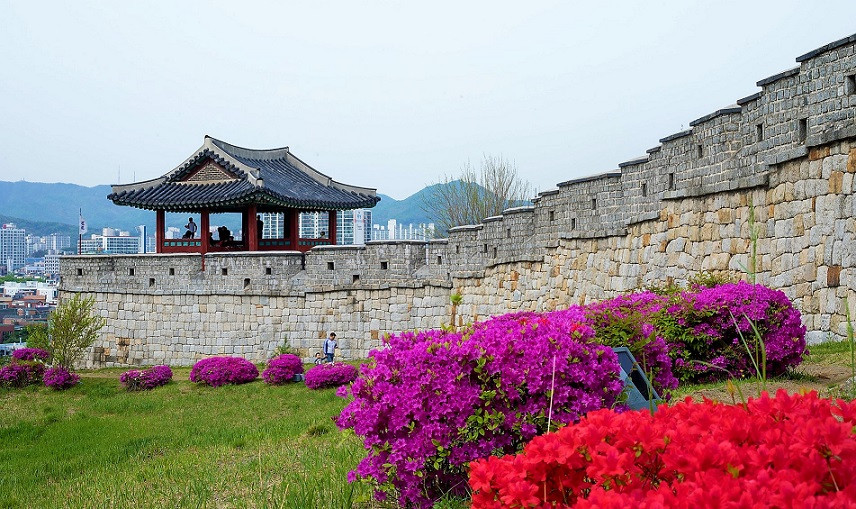 SUWON 7 VIAJES Y LUGARES