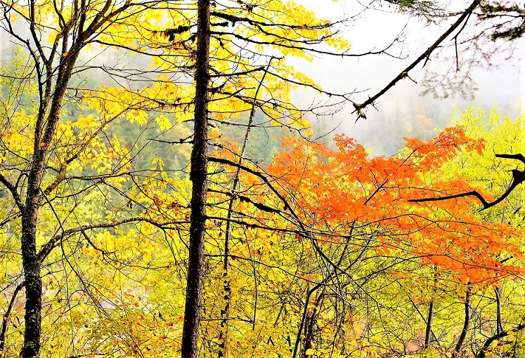 Jiuzhaigou 6 VIAJES Y LUGARES