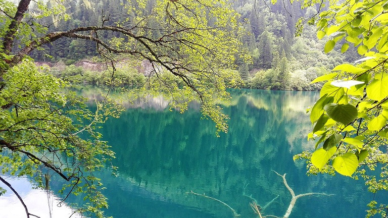 Jiuzhaigou PAVO 4 VIAJES Y LUGARES