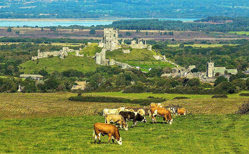 CORFE 7 VIAJES Y LUGARES