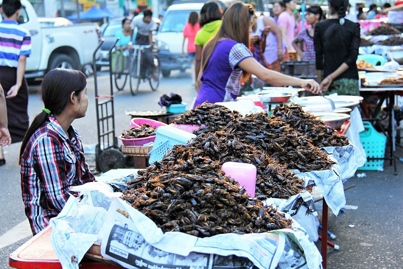 COMIDA EXÓTICA 1 VIAJES Y LUGARES