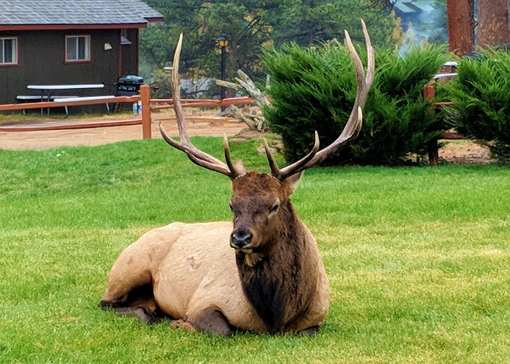 ESTES PARK 1 VIAJES Y LUGARES