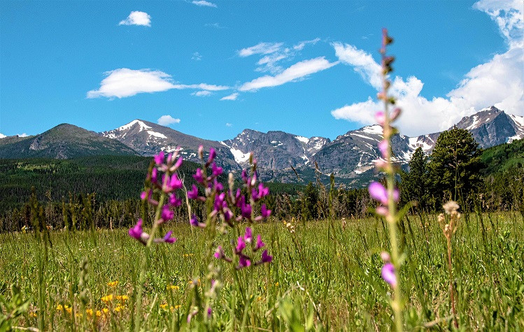 ESTES PARK 5 VIAJES Y LUGARES