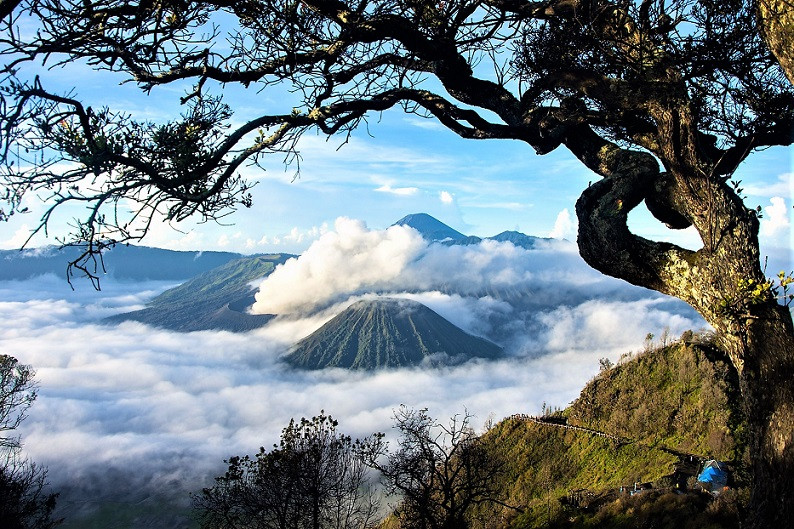 BROMO 1 VIAJES Y LUGARES