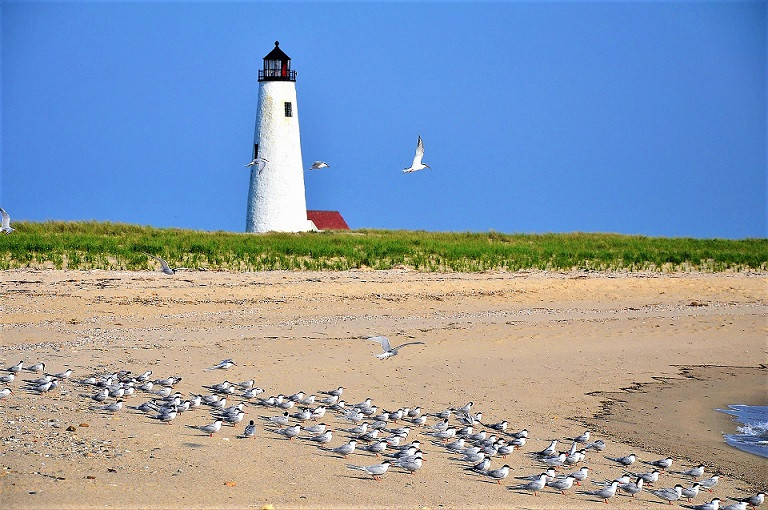 NANTUCKET 3 VIAJES Y LUGARES