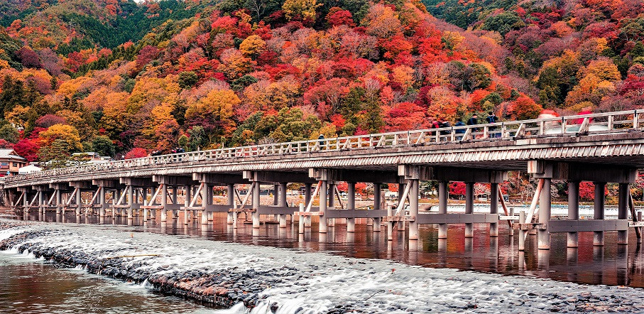 ARASHIYAMA 5 VIAJES Y LUGARES