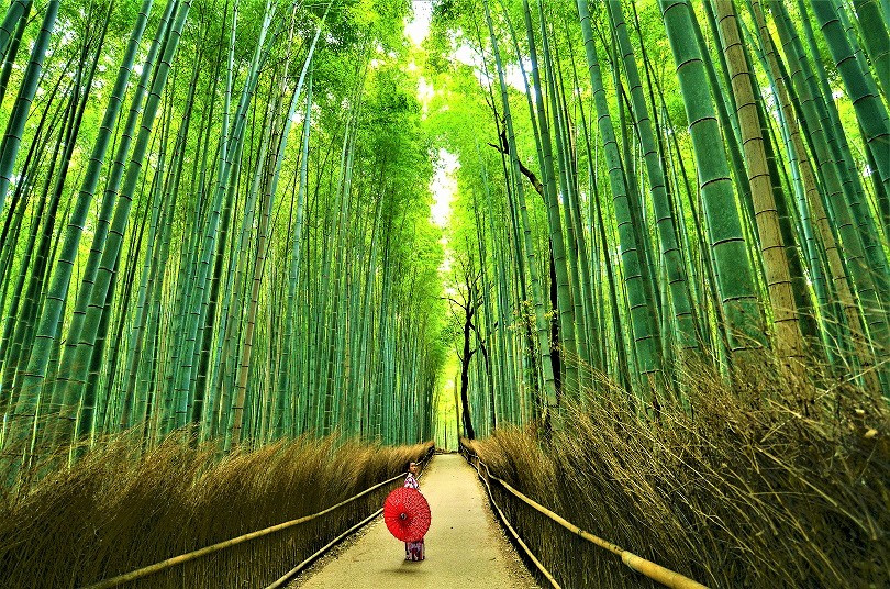 ARASHIYAMA 7 VIAJES Y LUGARES