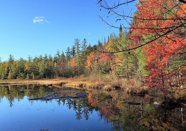 ADIRONDACK 4 VIAJES Y LUGARES