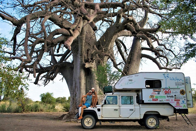 Baobab, Botsuana