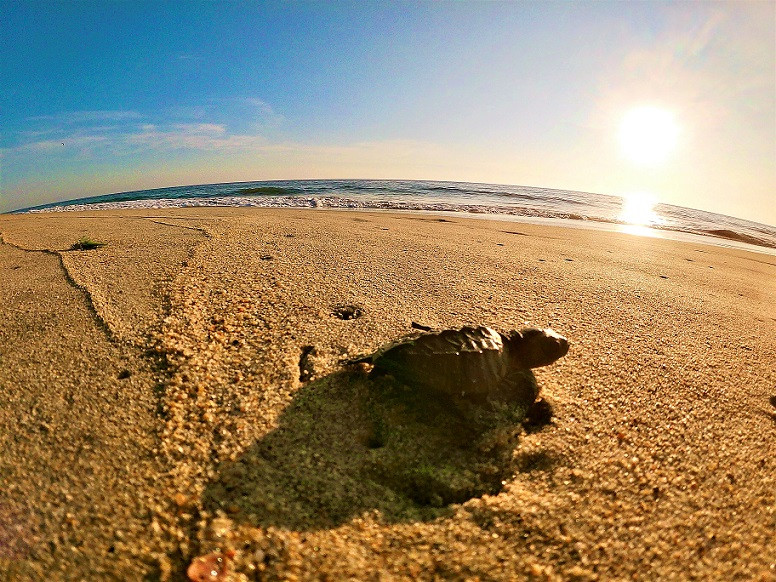 PUERTO ESCONDIDO 3