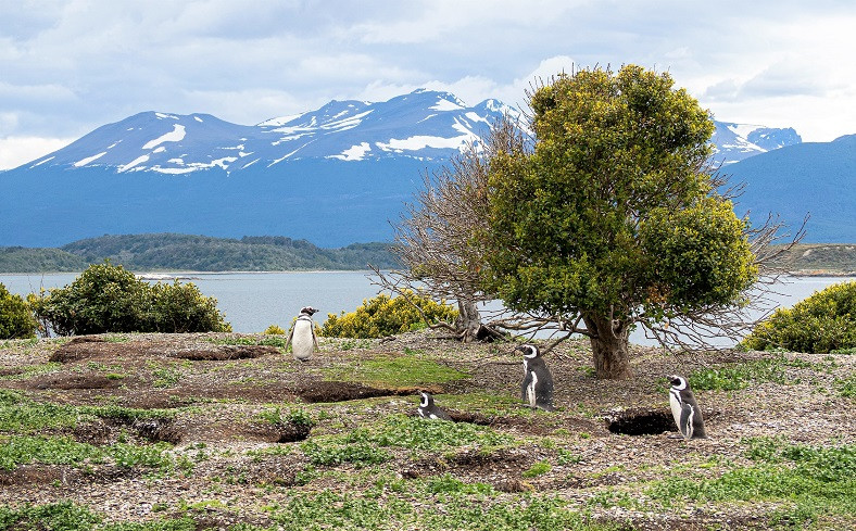 USHUAIA 2 VIAJES Y LUGARES