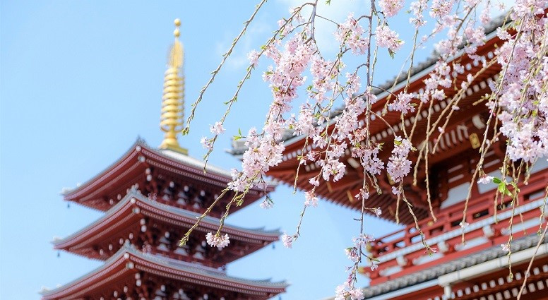 KIYOMIZU 6 VIAJES Y LUGARES