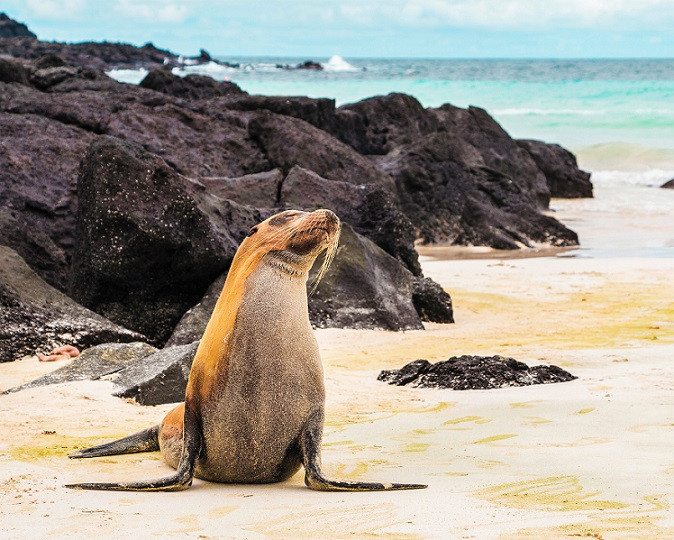 GALÁPAGOS 1 VIAJES Y LUGARES