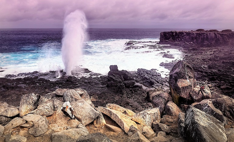 GALÁPAGOS 5 VIAJES Y LUGARES