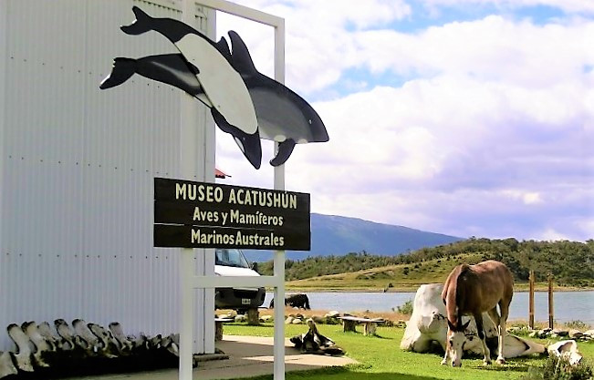 9. Museo Acatushun Entrada