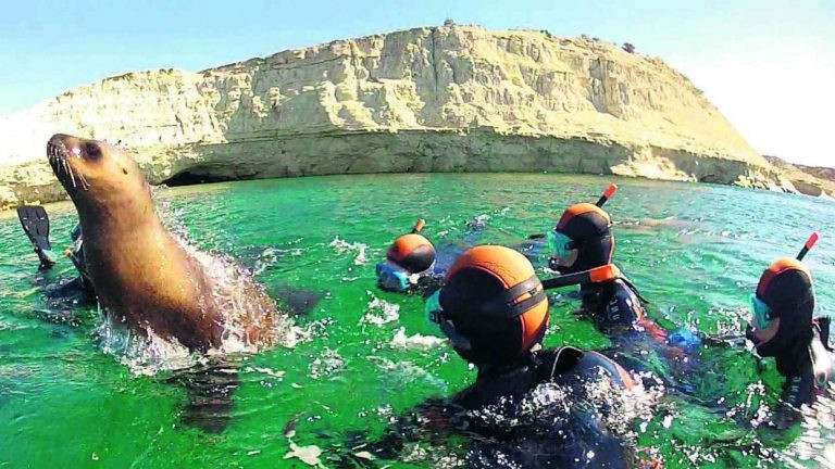 7...Buceo en Madryn