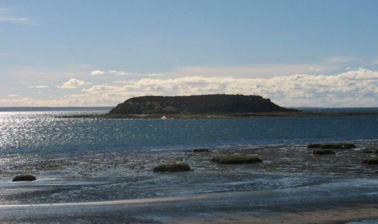 Isla de los Pajaros