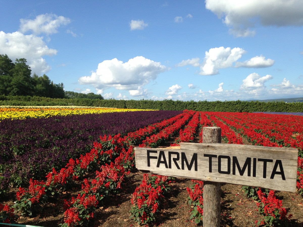 Granja Tomita