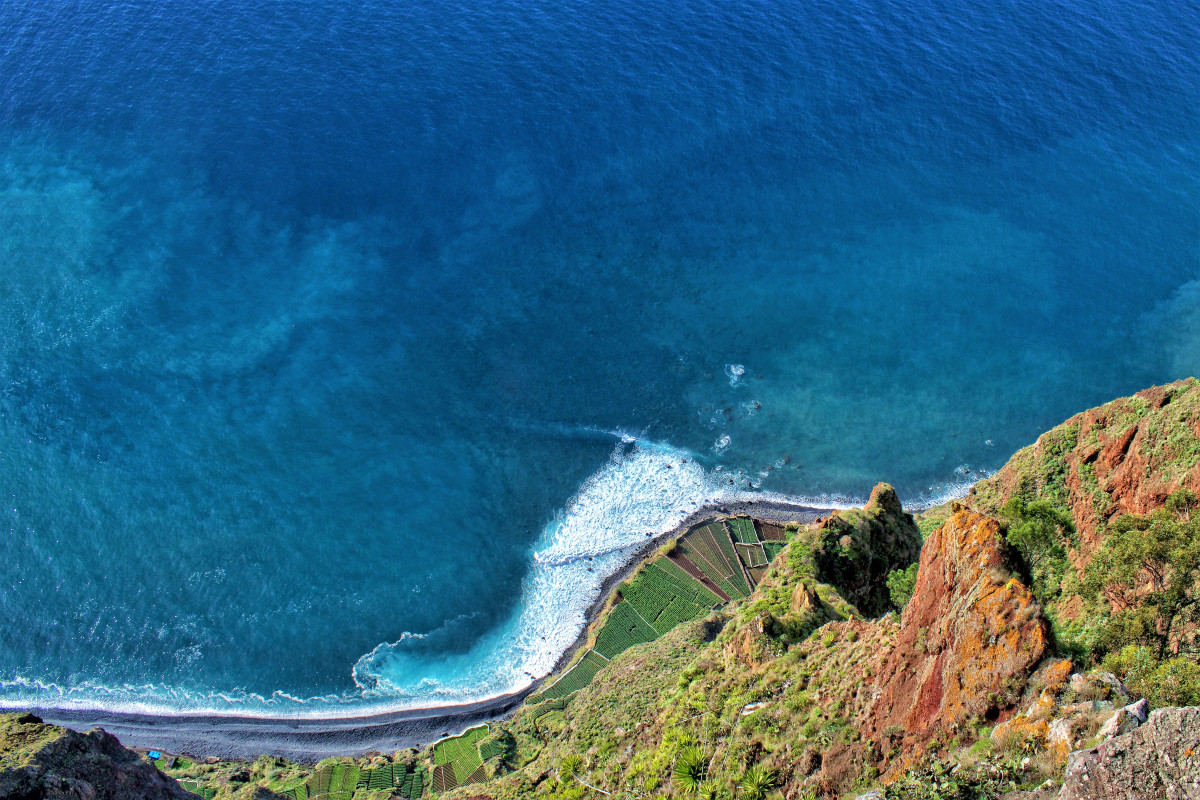 CÁMARA DE LOBOS 4