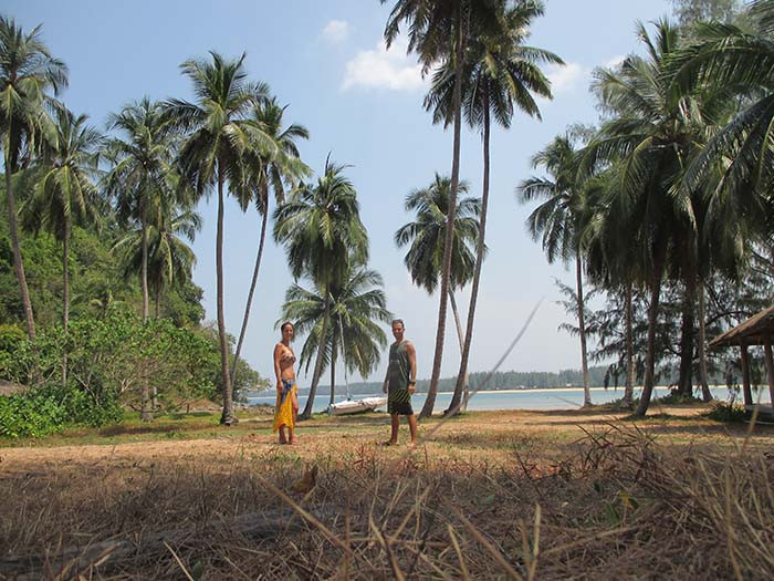 FOTO PALMERAS