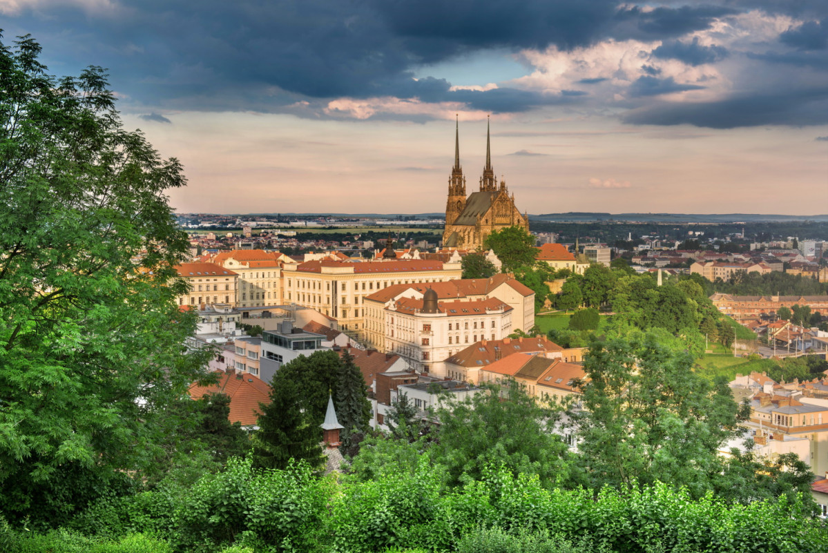 Brno ales motejl