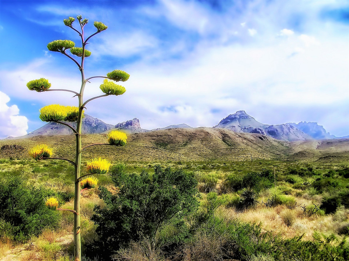 Big bend national park g11e61eb85 1920