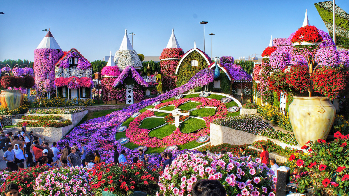 Miracle Garden 2