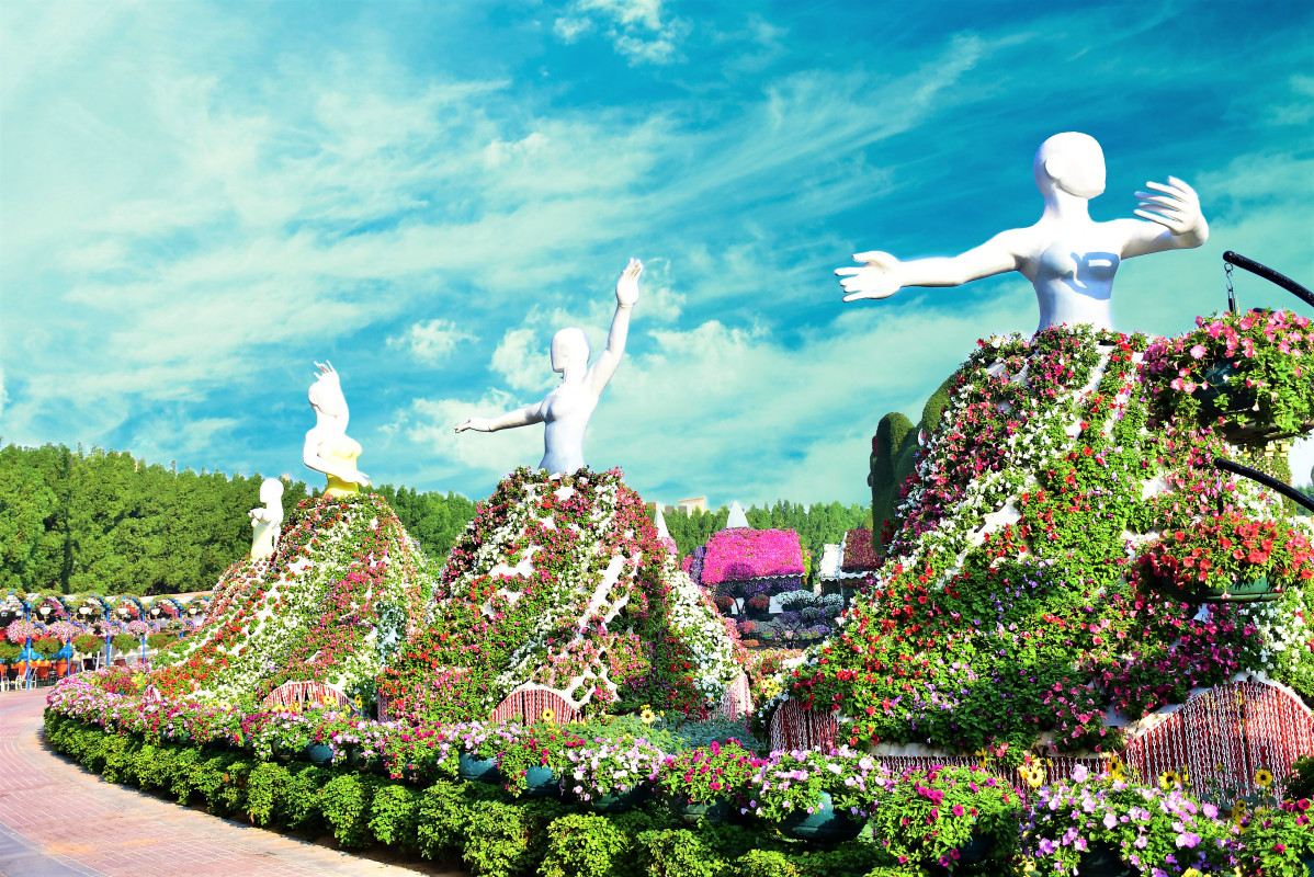 Miracle Garden Dubai 2
