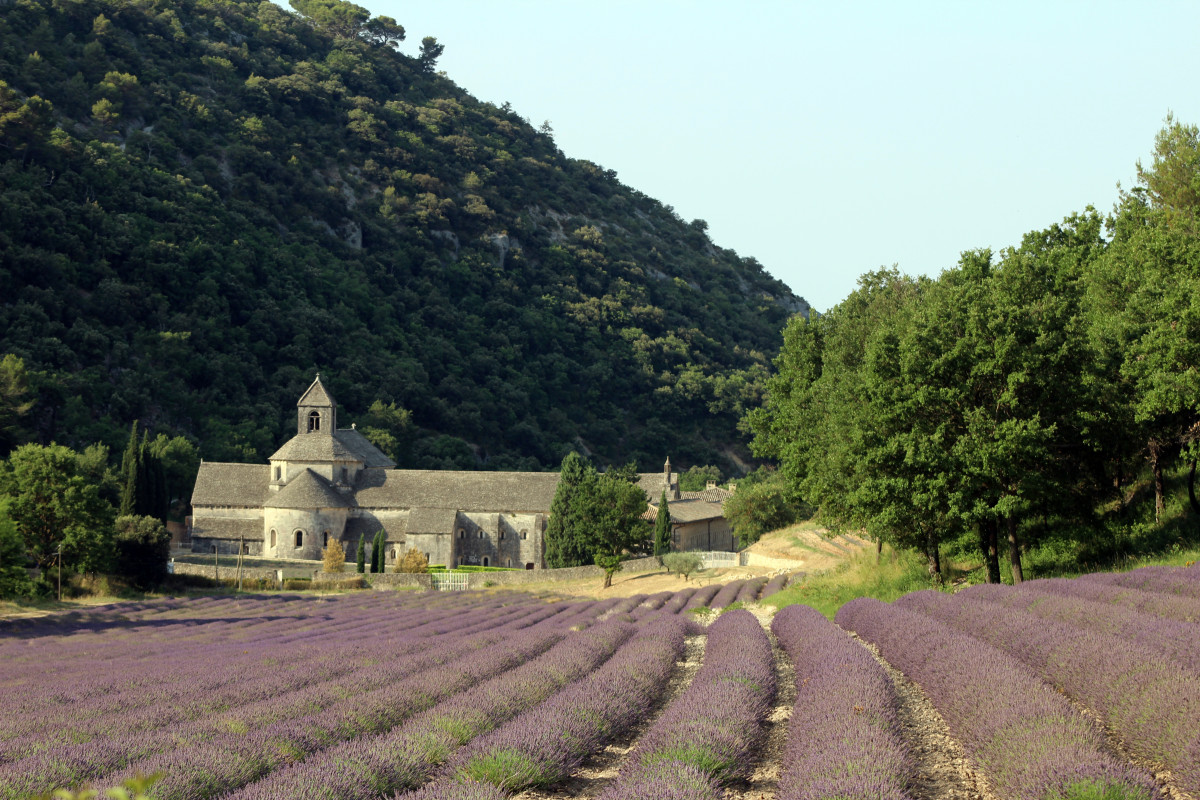 Abbaye Notre Dame de Sénanque