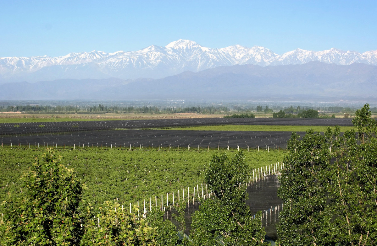 Maipú Mendoza