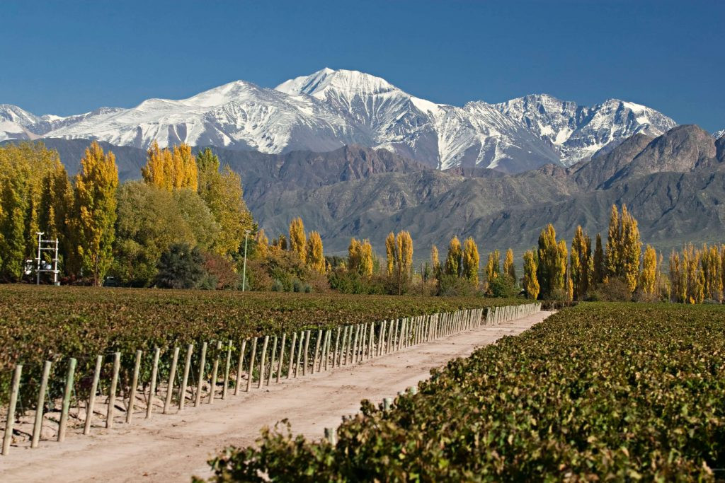 Mendoza