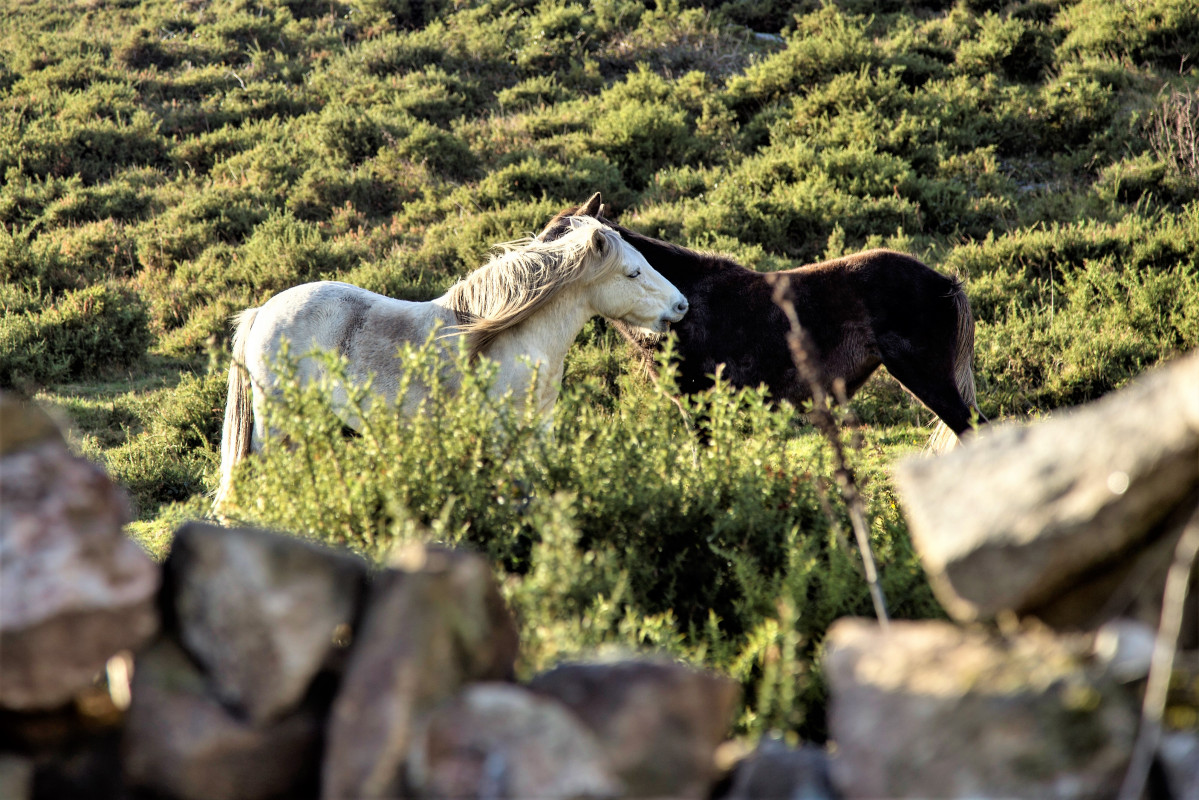 Montes de outes