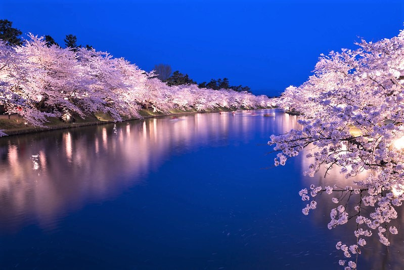 Hirosaki Park (6)