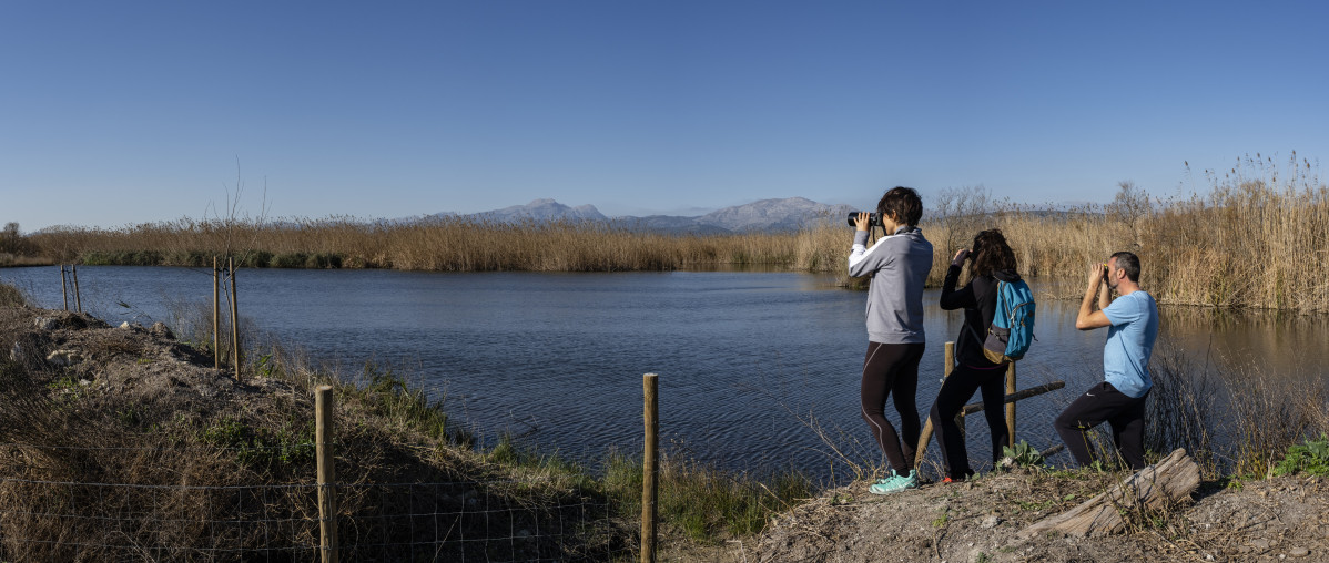 Grupo observando aves en albufera 8