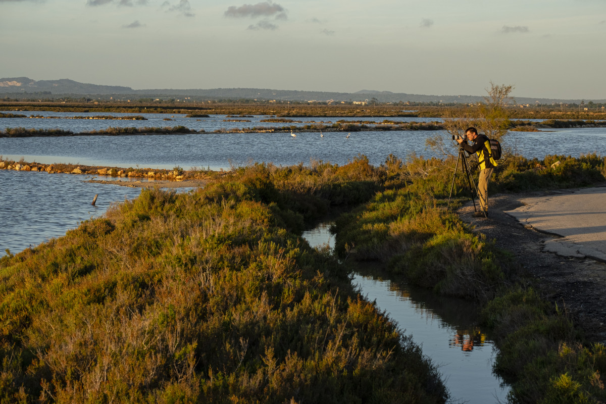 Hombre haciendo fotos en salobrar de campos 1